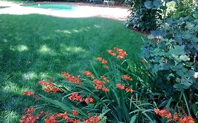 Rosebank Lodge Guesthouse By Claires